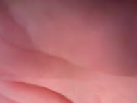 Make myself cum with toys <3