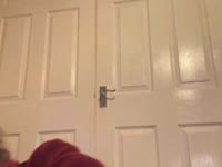 I’m fun girl who loves trying new things I’m half Swedish And I love travelling to new countries