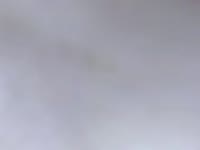 I am here for your enjoyment and I love to have fun. I have an open mind and love to play as only you and I can play together. I love being alone with you. I get so excited. My strongest desire is to make you happy. I know that you will be endlessly happy with me.