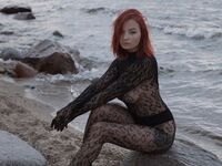 liveshow NickolPeterson