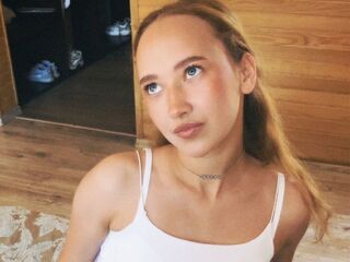 chat room live web cam VeniceMidden